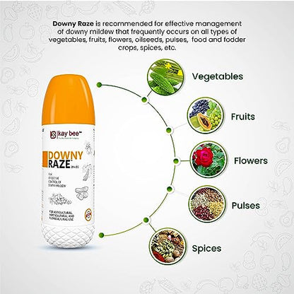 systemic fungicide for downy mildew