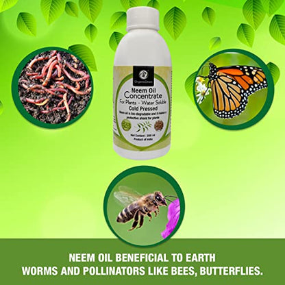 safe to beneficial insects