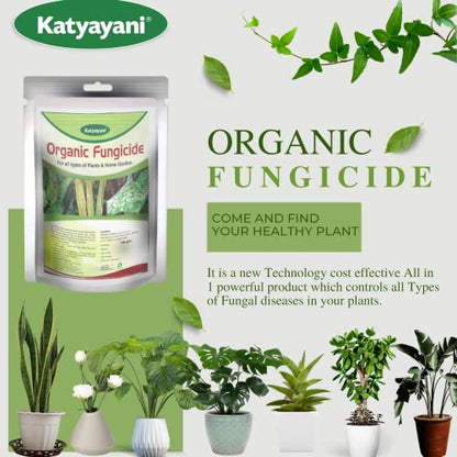 Katyayani All in 1 Organic Fungicide for Plants Flower Vegetable Mildew Rust Blight Disease Control 100 Gram Powder Pack of 1