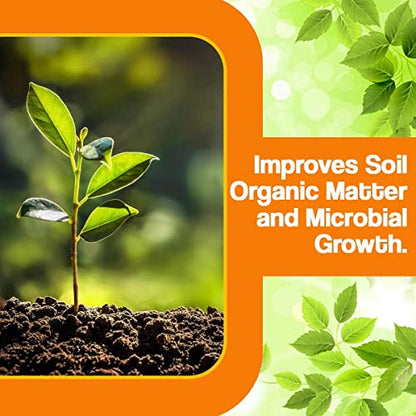 PATIL BIOTECH PRIVATE LIMITED MYCOZONE Organic Plant Fertilizer for Cotton 200gm