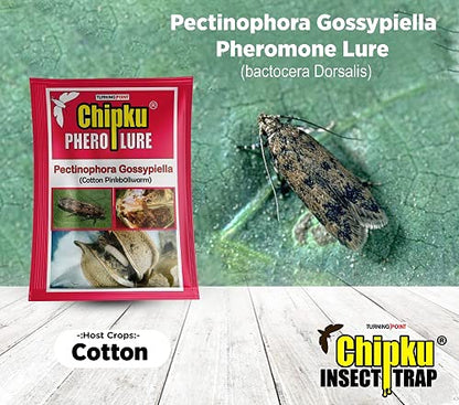 Cotton pink boll worm lure
