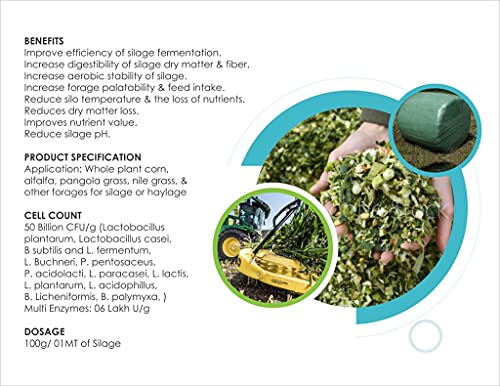benefits of silage culture