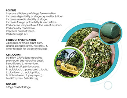 benefits of silage culture