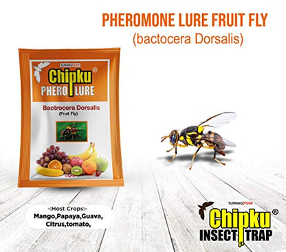 Chipku Fruit Fly Lure for mango, sapota, gauva, ( bactocera Dorsalis) Pack of 50 Lures