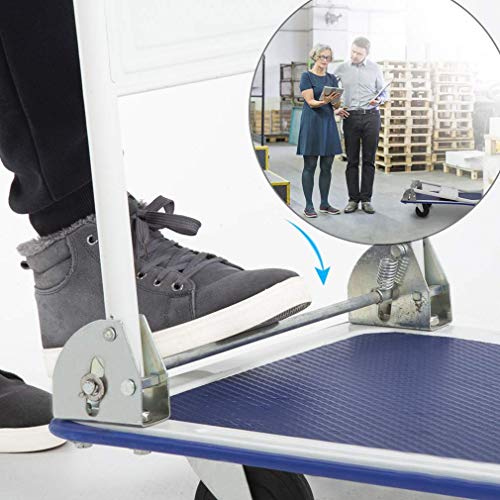 Bigapple WH1-metal 300 Heavy Weight King Metal Trolley, 300 kg Capcity (Blue)