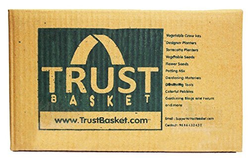 TrustBasket Green Garden Shade Net 75% UV Protected/Stabilization for terrace Garden, Green House, Balcony and Gardening Multipurpose - Blocks Sun Light Dust, Protect Flowers and Plants (3Mtr * 5Mtr, Green)