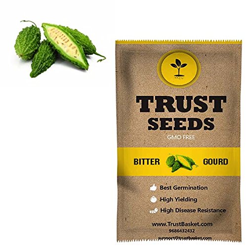 bitter bitter gourd seeds