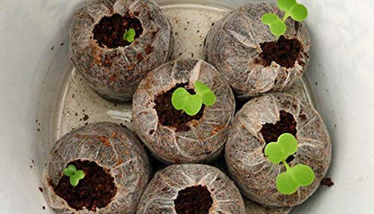 WE Hydroponics Coco Pellets 50mm -Set of 35, Jiffy Made, Soilless Germination Medium, Coco disc