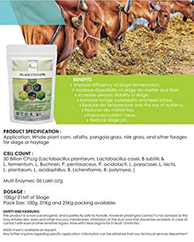 best silage culture