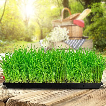Hydroponic Growing Trays 24" X 12"