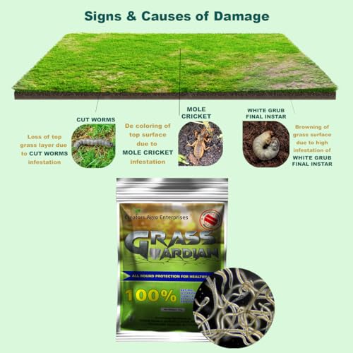 Grass Guardian - Biological Lawn Pest Control | 100% ECO-Friendly, Chemical Free, Safe for Humans & Pets | Total Area Coverage - 2500 Square Feet.
