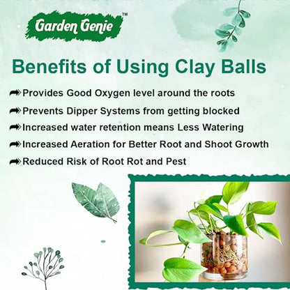 Garden Genie Organic Root Power Liquid VAM Fertilizer (100ml), General Hydroponics Nutrients A&B (250 ml Each) & Clay Balls for plants (900g) - Aeroponics, Agriculture, Aquaponics & Hydroponic Systems