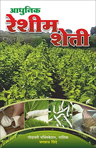 अधुनिक रेशीम शेटी