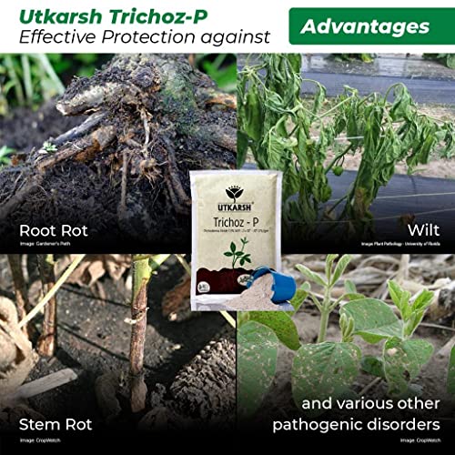 Utkarsh Trichoz-P (ट्राइकोडर्मा विराइड 1.5% WP: 2 x 10^6-10^8 CFU/gm) बायो फंगसाइड (प्रत्येक का 900gm, 5 का पैक)