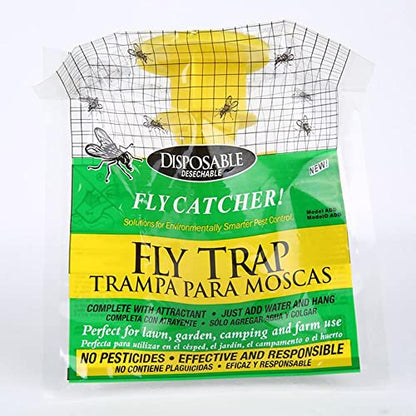 fly trap demonstration