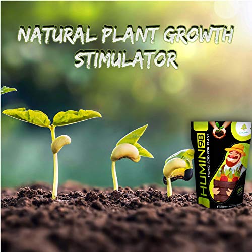 natural plant growth stimulator