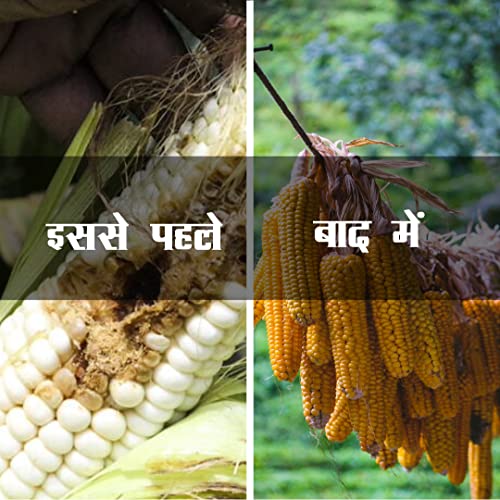 ट्राइकोडर्मा विराइड एंटी फंगल बायो फ़र्टिलाइज़र (1KG)