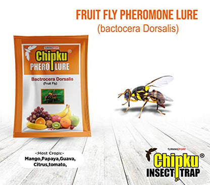 Chipku- Bactocera Dorsalis Fruit Fly Outdoor ECOMAX Pheromne Trap with Lure Pack of 50