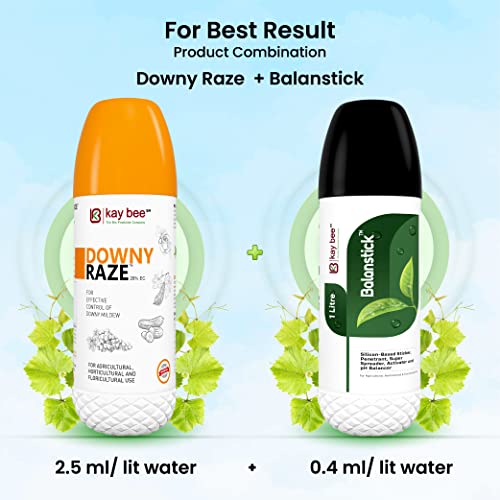 Kay Bee बॉटनिकल आधारित बायो-पेस्टिसाइड -डाउनी रेज़ (250 ml) | पौधों के लिए कृषि कवकनाशी 