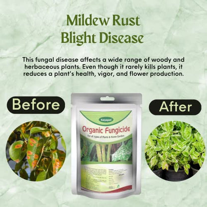 Katyayani All in 1 Organic Fungicide for Plants Flower Vegetable Mildew Rust Blight Disease Control 100 Gram Powder Pack of 1