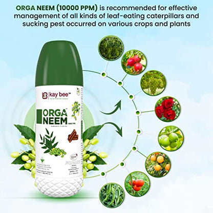 10000 ppm neem oil price