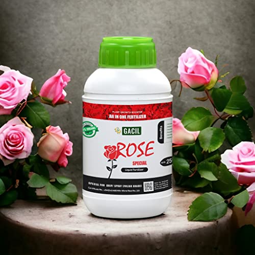 Rose Special