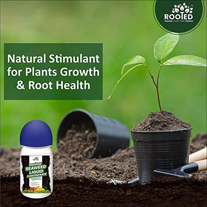 ROOTED Premium Seaweed Liquid Concentrate, Fertilizer For Plants And Trees, Natural Bio-Stimulant For Boosting Growth, Yield And Roots Health 250 ml (2 Pack)