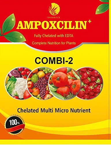 Ampoxcilin (Combi 2) - 1 Kg