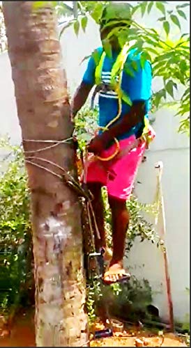 SBI Coconut Tree Climber Machine with Full Body Safety Harness - Safe to Climb