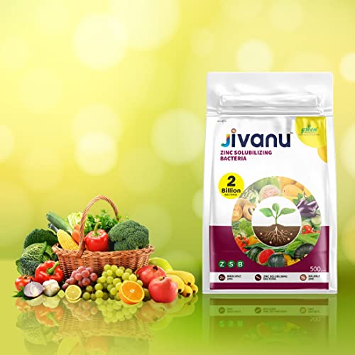 Jivanu Zinc Solubilizing Bacteria Bio Fertilizer - ZSB for All Plants and Home Garden Eco-Friendly (500 Gram)