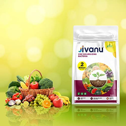 Jivanu Zinc Solubilizing Bacteria Bio Fertilizer - ZSB for All Plants and Home Garden Eco-Friendly (500 Gram)