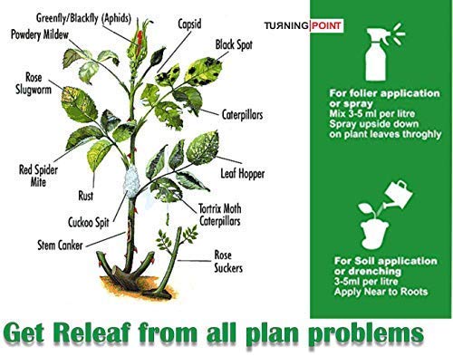 neem oil to control aphids, catterpillar, hopppers, mites