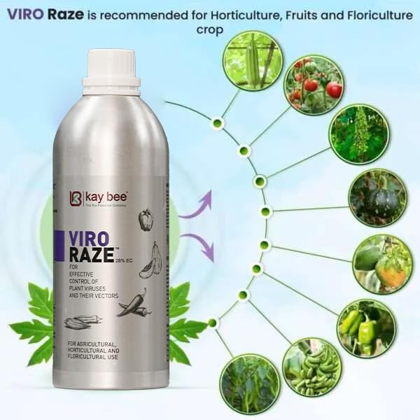 Kay Bee Viro Raze crops