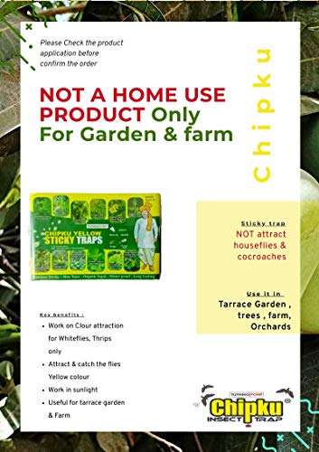 Chipku ® येलो नॉन टॉक्सिक और केमिकल फ्री फ्लाई ट्रैप इन्सेक्ट कैचर स्टिकी ट्रैप पैड कीड़ों, सफेद मक्खियों, एफिड्स, लीफ माइनर, थ्रिप्स के लिए (पीला)- 10