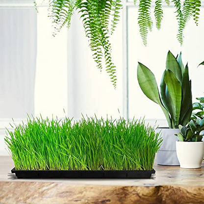 Hydroponic Growing Trays 24" X 12"