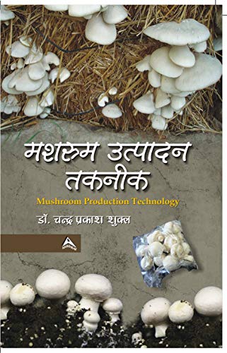 मशरूम उत्पादन तकनीक (मशरूम उत्पादन तकनीक)