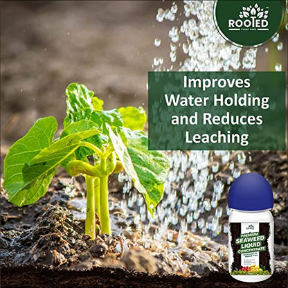 ROOTED Premium Seaweed Liquid Concentrate, Fertilizer For Plants And Trees, Natural Bio-Stimulant For Boosting Growth, Yield And Roots Health 250 ml (2 Pack)