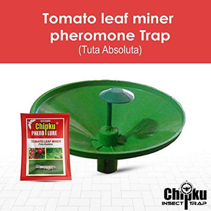how to control tomato leaf miner