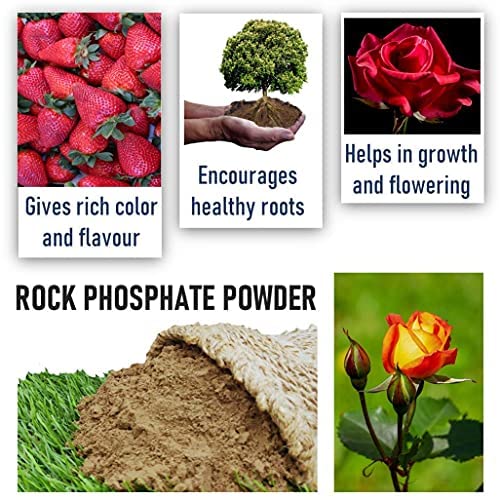 SDF INDIA Organic Rock Phosphate Essential Fertilizer All Purpose Powder for Fruiting and Flowering Plants (10)