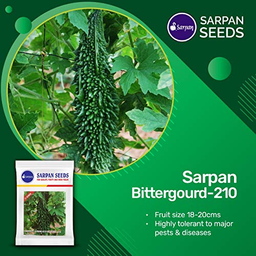 pest tolerant bitter gourd seeds