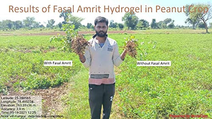 hydrogel benefits in peanut crop
