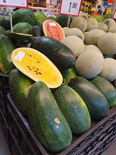 Golden Hills Farm Hybrid Watermelon F1 Climax Yellow Exotic 10+ Seeds