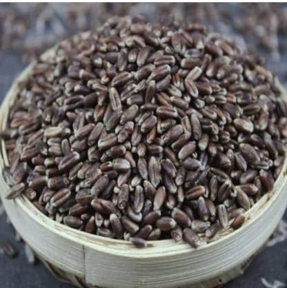 शौर्य जैविक प्राकृतिक काला गेहूं 900 ग्राम