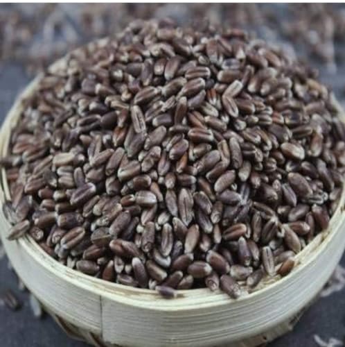 Shaurya Organic Natural Black Wheat 900G
