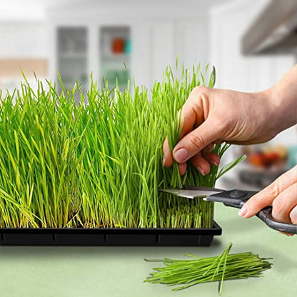 Hydroponic Growing Trays 24" X 12"