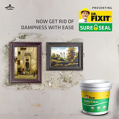 DR. FIXIT SURE SEAL, Patch Repair of Internal and External Walls and Roof, 1 KG
