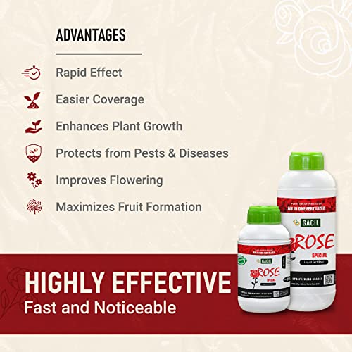 Organic seaweed