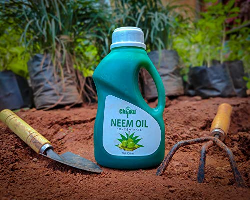 buy neem oil 