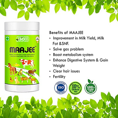 MAAJEE Animal Nutrition & Feed Supplement Minerals Mixture | for Live Stock Improvement in Milk Yield, Milk Fat & SNF Content (for All Animals) | Weight Gainer 908gm