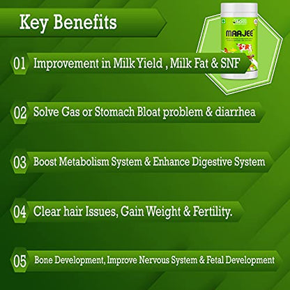 MAAJEE Animal Nutrition & Feed Supplement Minerals Mixture | for Live Stock Improvement in Milk Yield, Milk Fat & SNF Content (for All Animals) | Weight Gainer 908gm